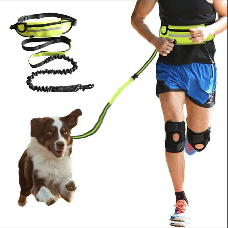 Hands-Free Dog Leash with Bungee, Phone & Bottle Holder - Life Hack Mart
