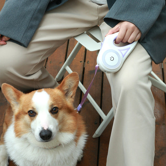 Retractable Dog Leash & Collar Set for Small Pets - Life Hack Mart